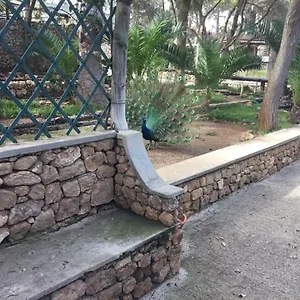 Homestay 16, Porto Santo